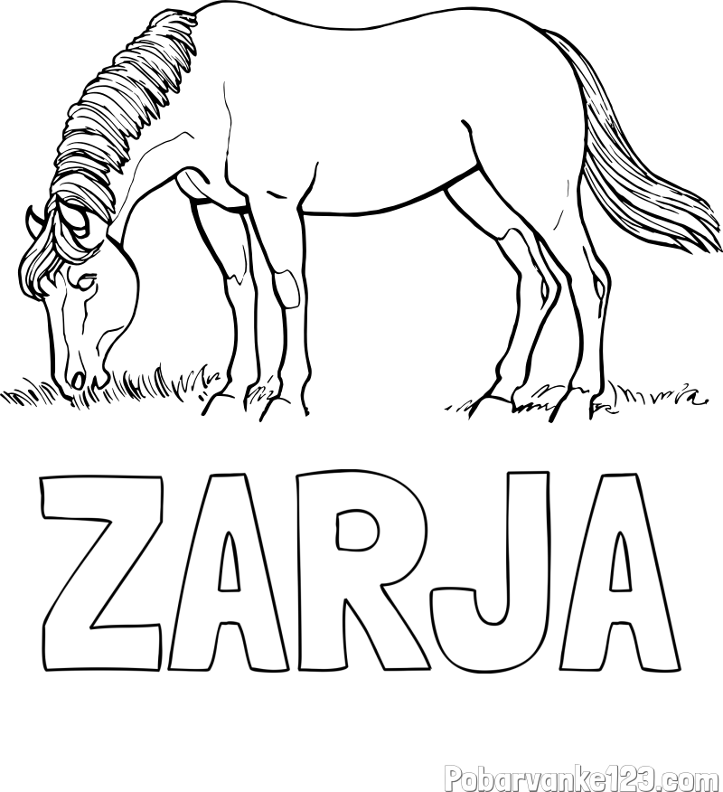 Pobarvanka imena ZARJA in pobarvanka konja med pašo