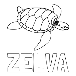 Online izdelana pobarvanka - Pobarvanka imena ZELVA in otroška pobarvanka velike želve