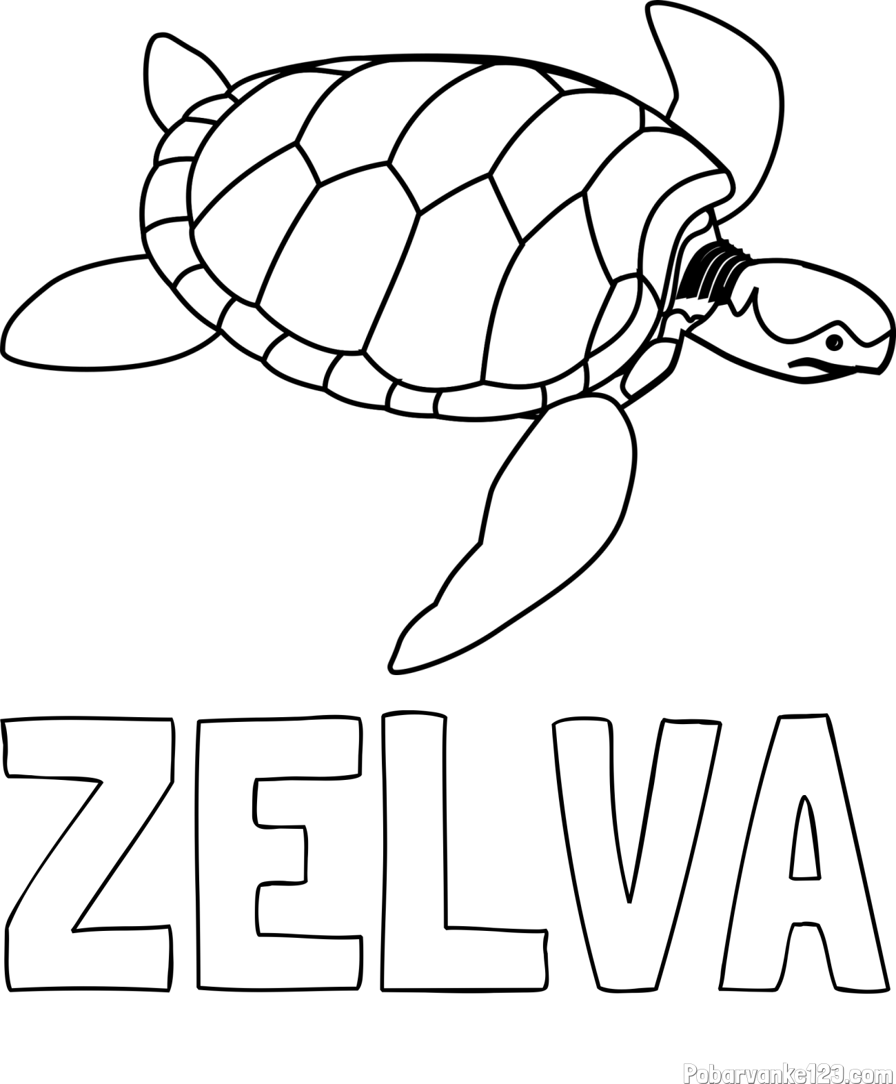 Pobarvanka imena ZELVA in otroška pobarvanka velike želve