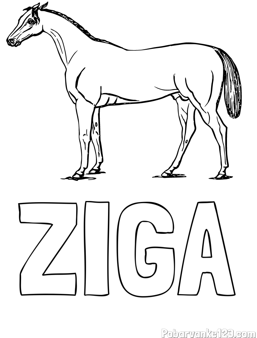 Pobarvanka imena ŽIGA in pobarvanka konja