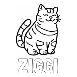 Online izdelana pobarvanka - Pobarvanka imena ZIGGI in pobarvanka debelušne mačke