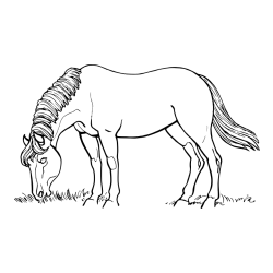 Pobarvanka konja med pašo