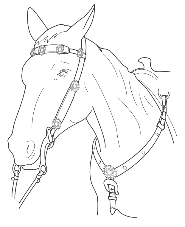 Pobarvanka konjske glave