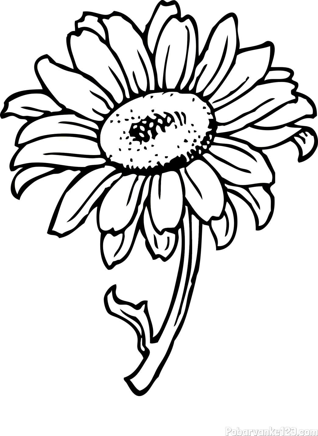 Pobarvanka lepe sončnice