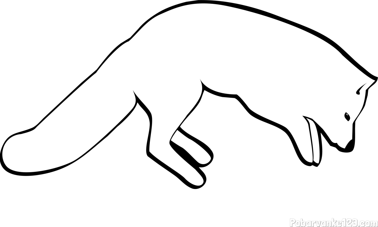 Pobarvanka lisice pri lovu