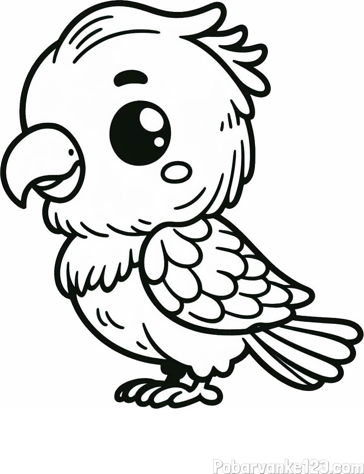 Pobarvanka ljubkega papagaja