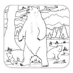 Pobarvanka medvedke z mladičema