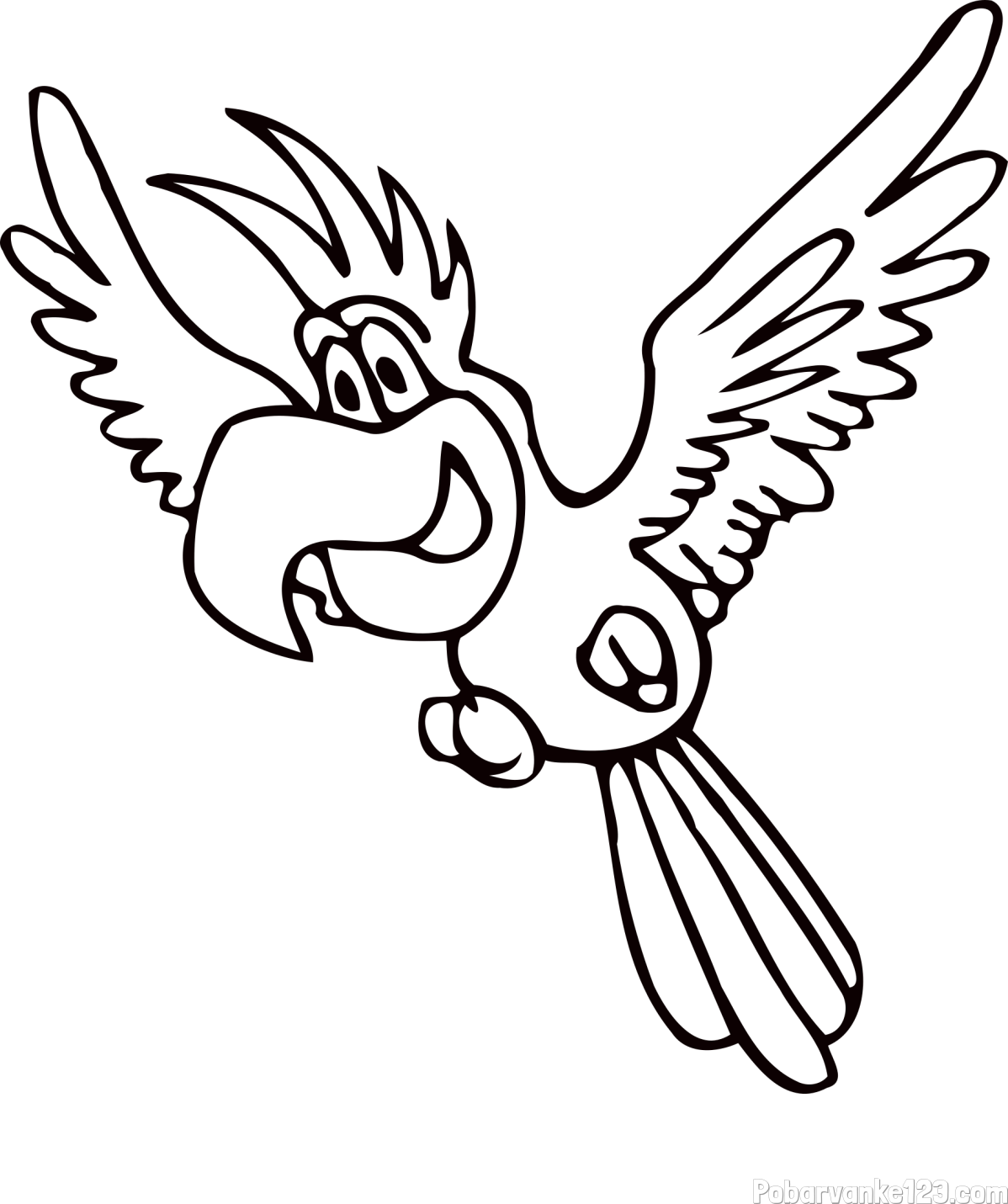 Pobarvanka papagaja v letu