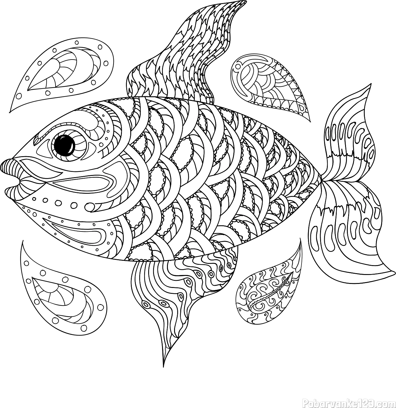 Pobarvanka pisane ribe