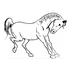 Pobarvanka razigranega konja