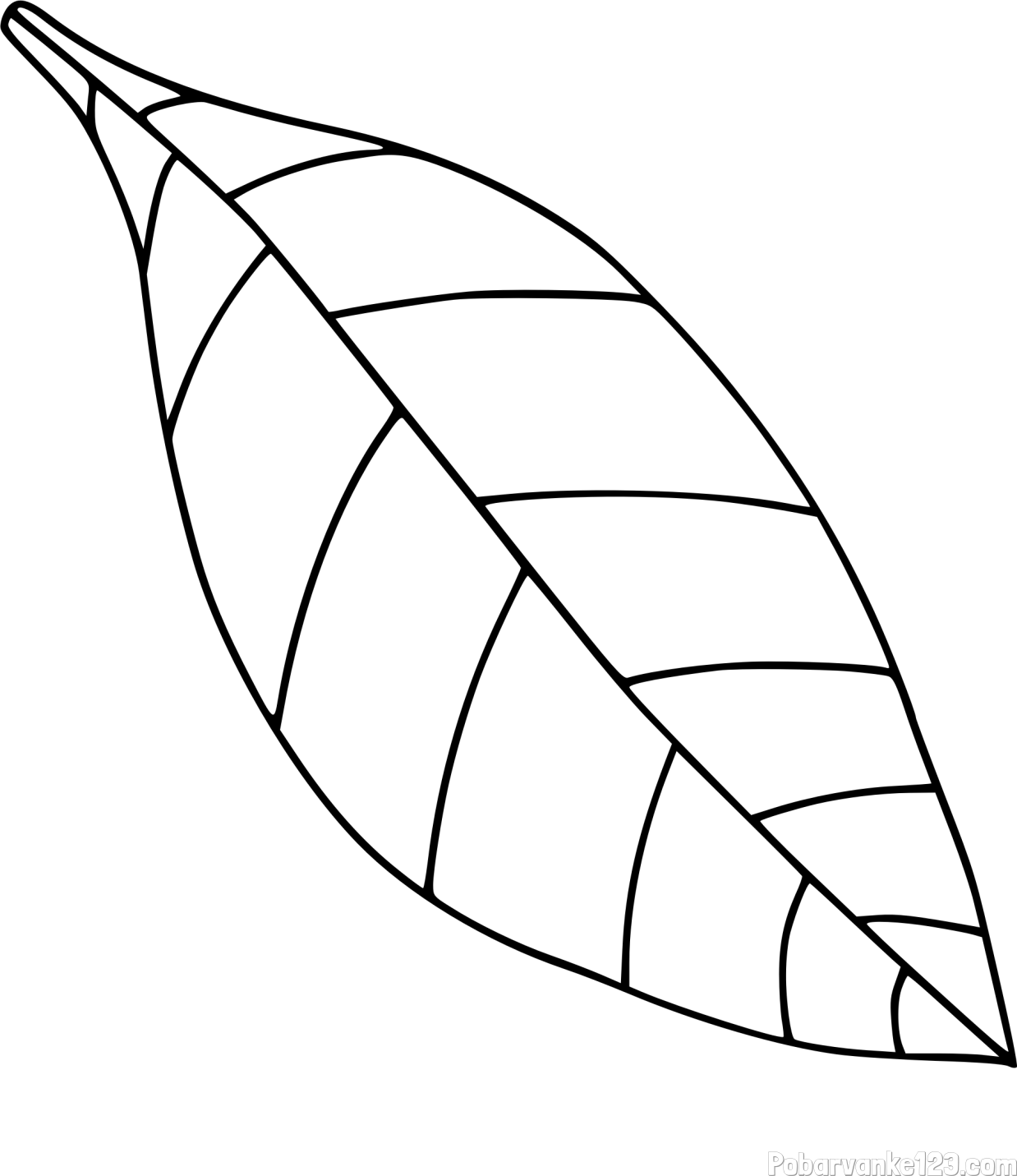 Pobarvanka preprostega lista