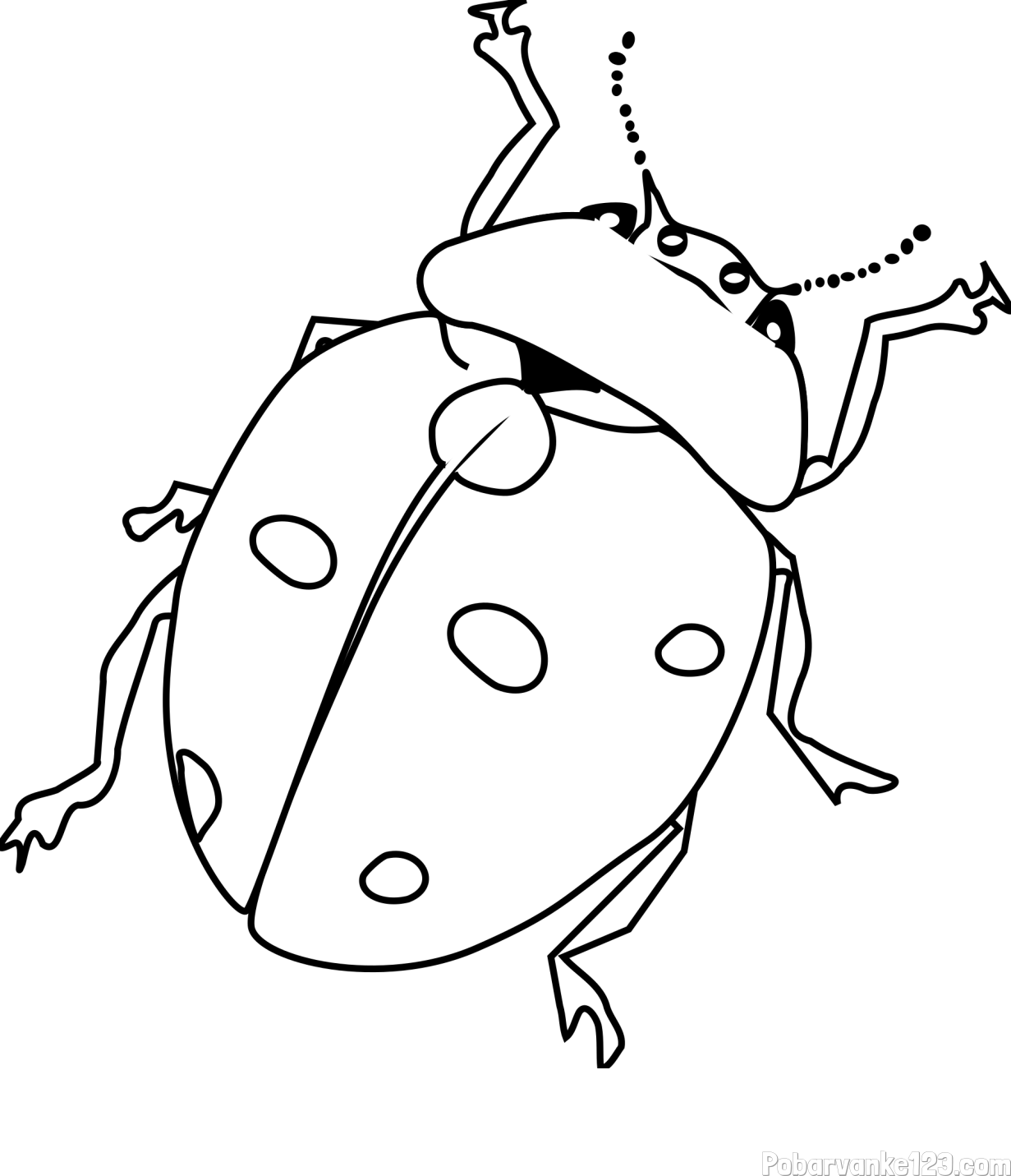 Pobarvanka realistično upodobljene pikapolonice