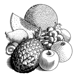 Pobarvanka sadja (ananas, melona, jabolka, kivi, grozdje, pomaranča...)