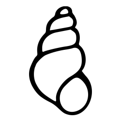 Pobarvanka školjke morskega polžka