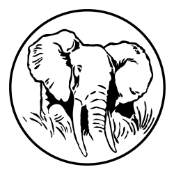 Pobarvanka slonje glave