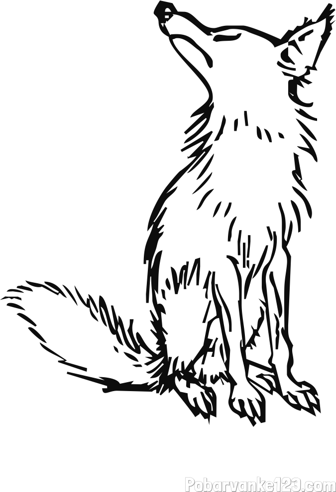 Pobarvanka stare lisice