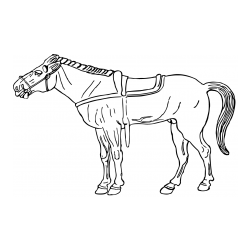 Pobarvanka starega konja