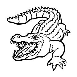 Pobarvanka krokodila