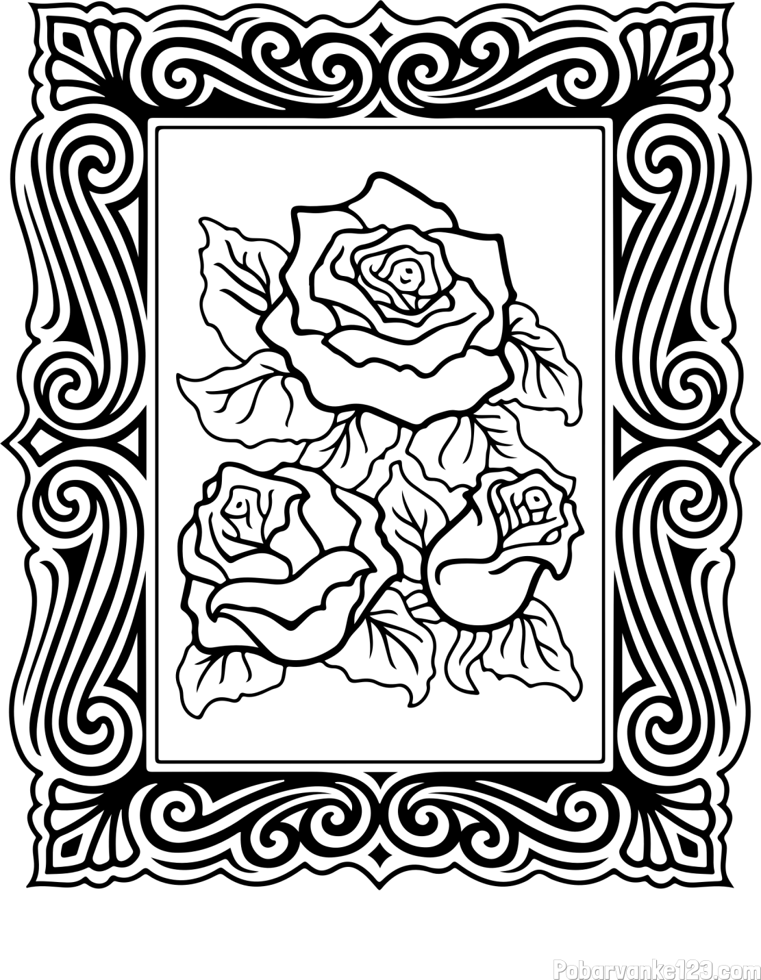 Pobarvanka  uokvirjene slike vrtnic