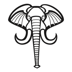 Pobarvanka velike slonje glave