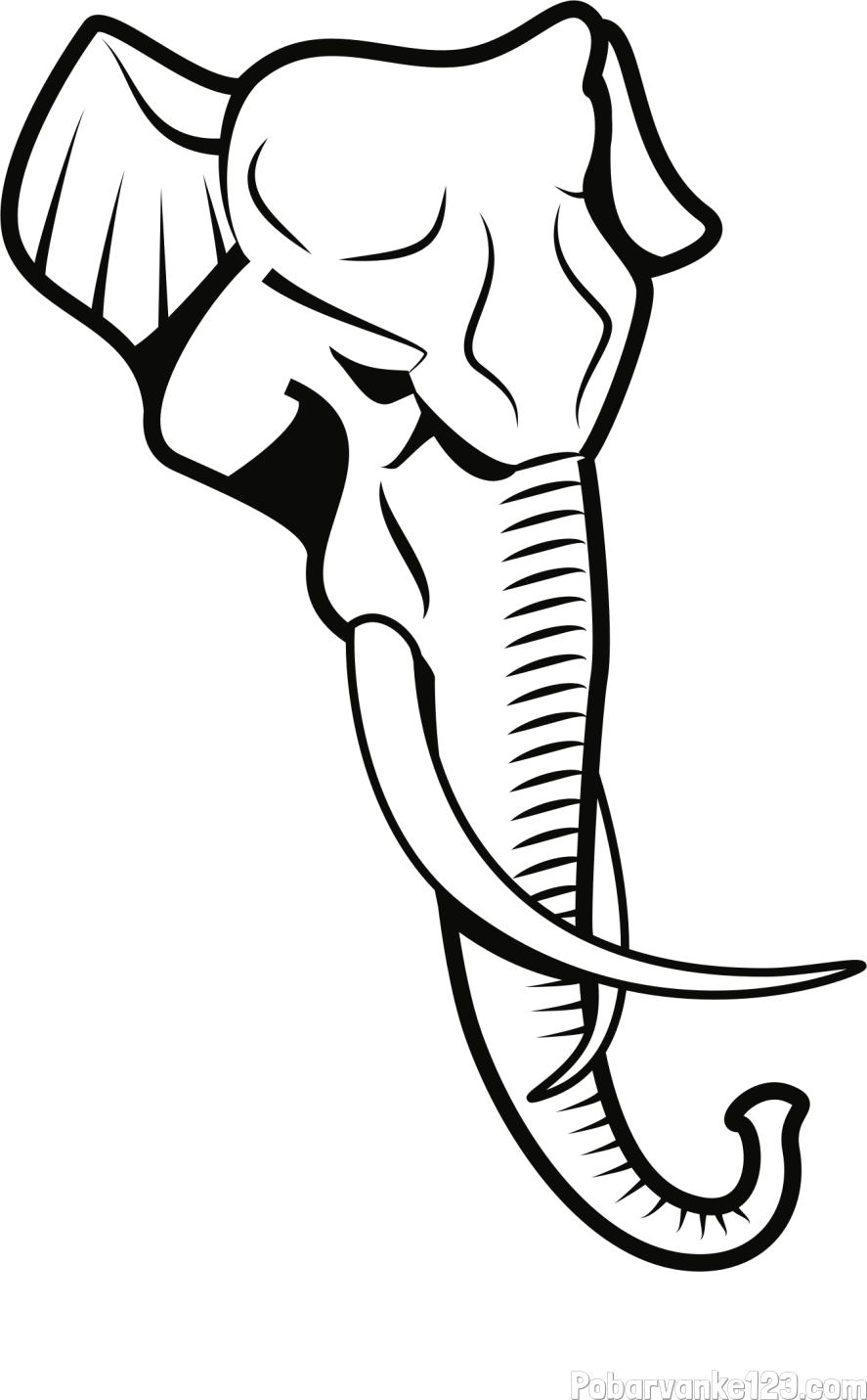 Pobarvanka velike slonje glave z okli