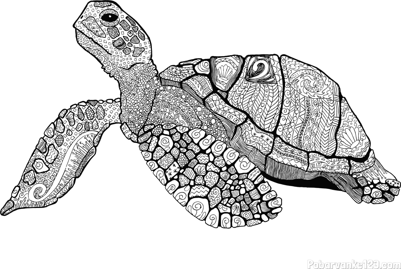 Pobarvanka velike želve - mandale