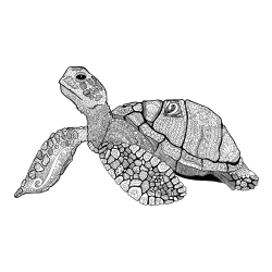 Pobarvanka velike želve - mandale