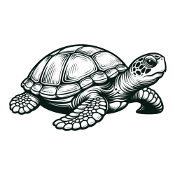 Pobarvanka velike želve