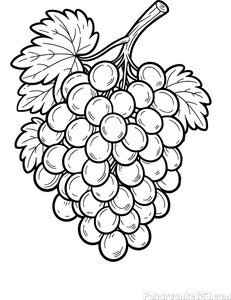 Pobarvanka velikega grozdja