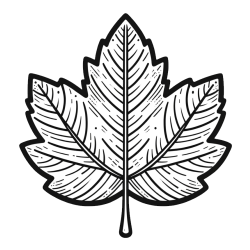 Pobarvanka velikega jesenskega lista