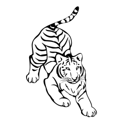 Pobarvanka velikega tigra