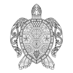 Pobarvanka želve - mandale