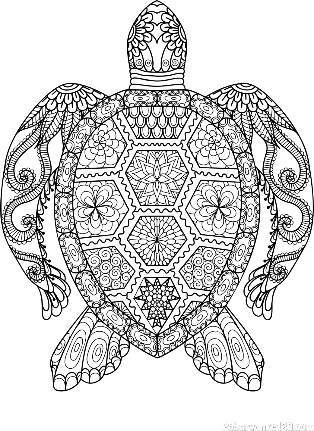 Pobarvanka želve - mandale