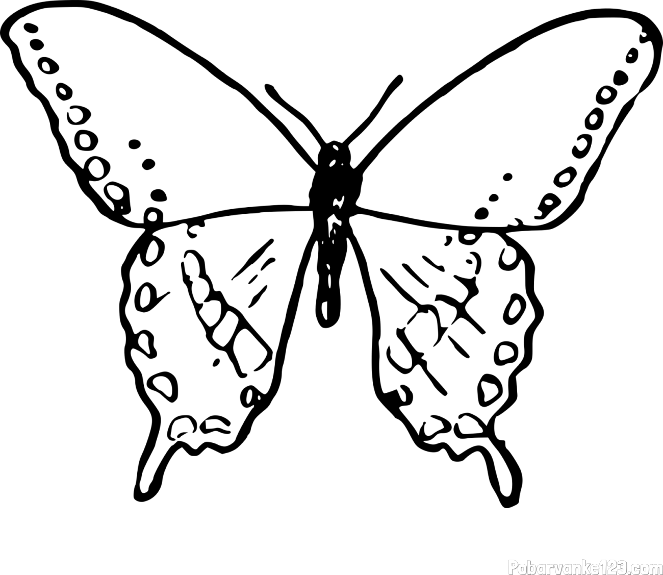 Starejša in preprosta pobarvanka metulja