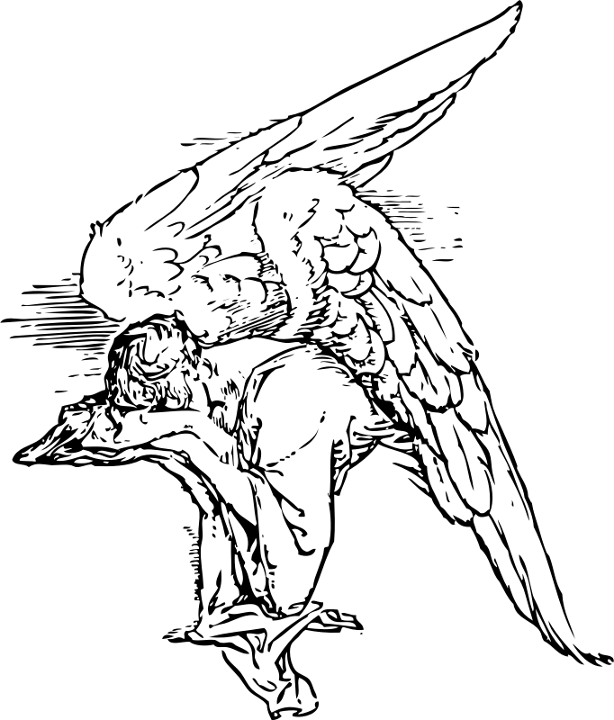 Pobarvanka žalostnega angela